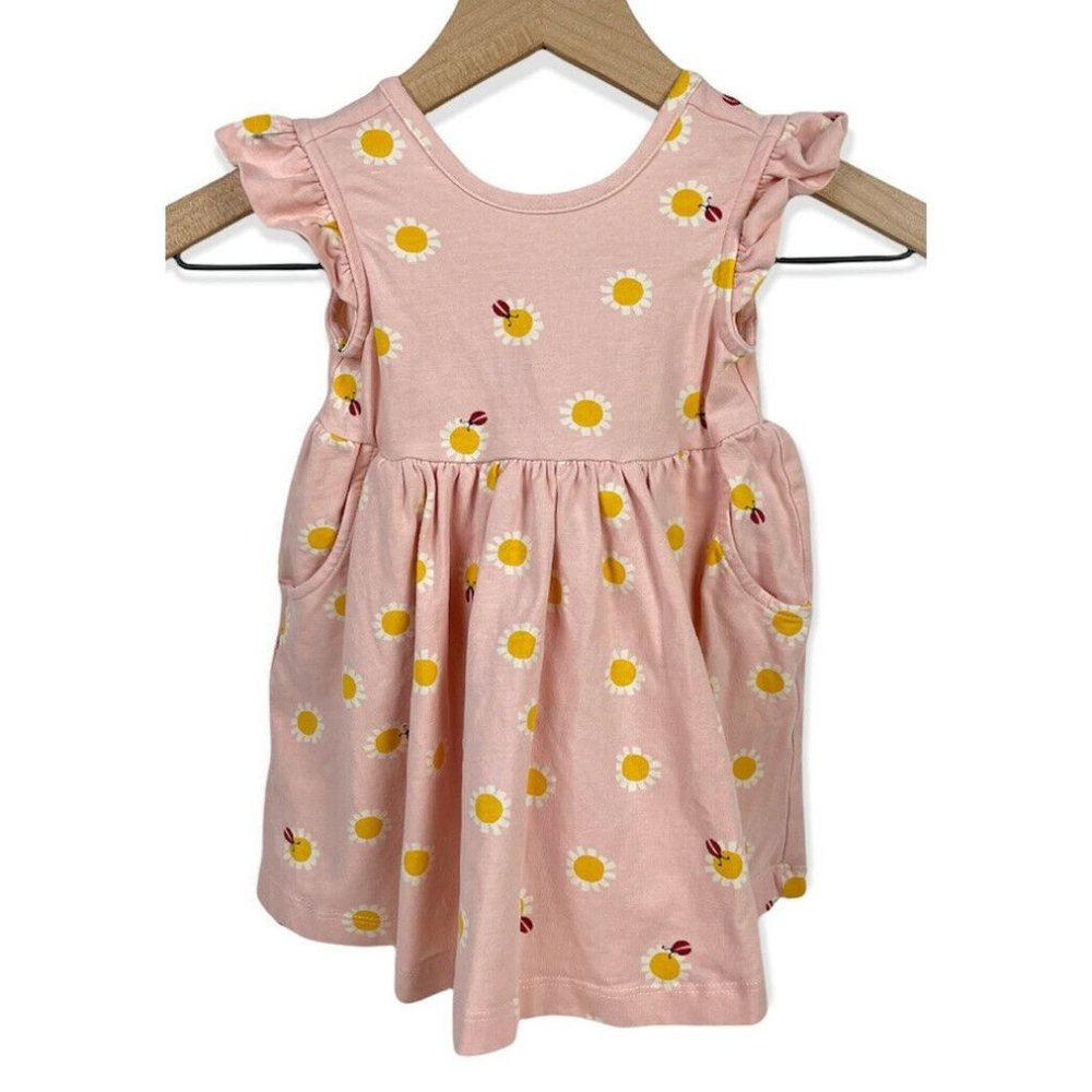 Hanna Andersson Dress Pink Ladybug Flower Twirl Skater Ruffle 80 18-24 18 24 M